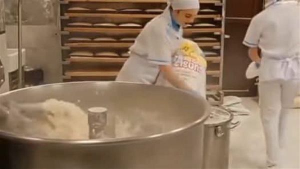 لمحة نيوز