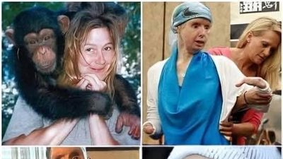 القرد الشامبنزي