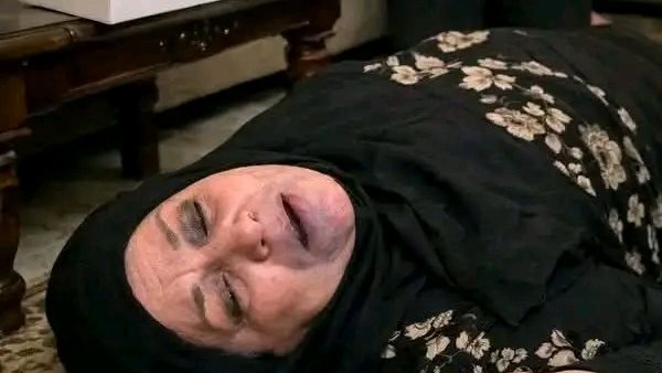 لمحة نيوز