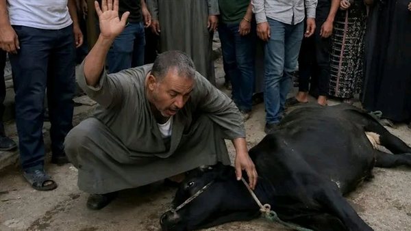 لمحة نيوز